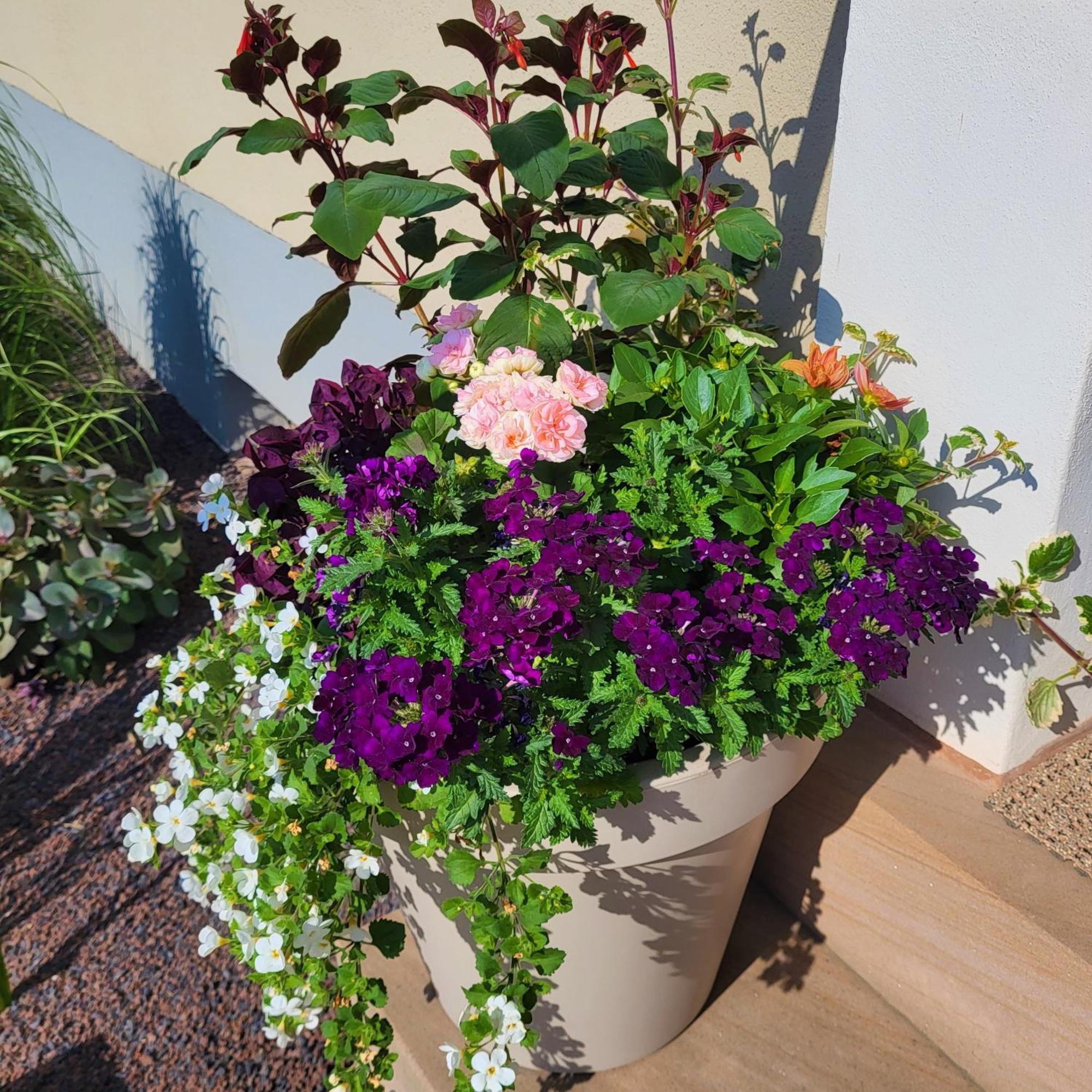 Komfort Ferienwohnungen Mit Wellness-Garten - Gaestehaus Am Bachlauf - Losheim Am See Habitación foto
