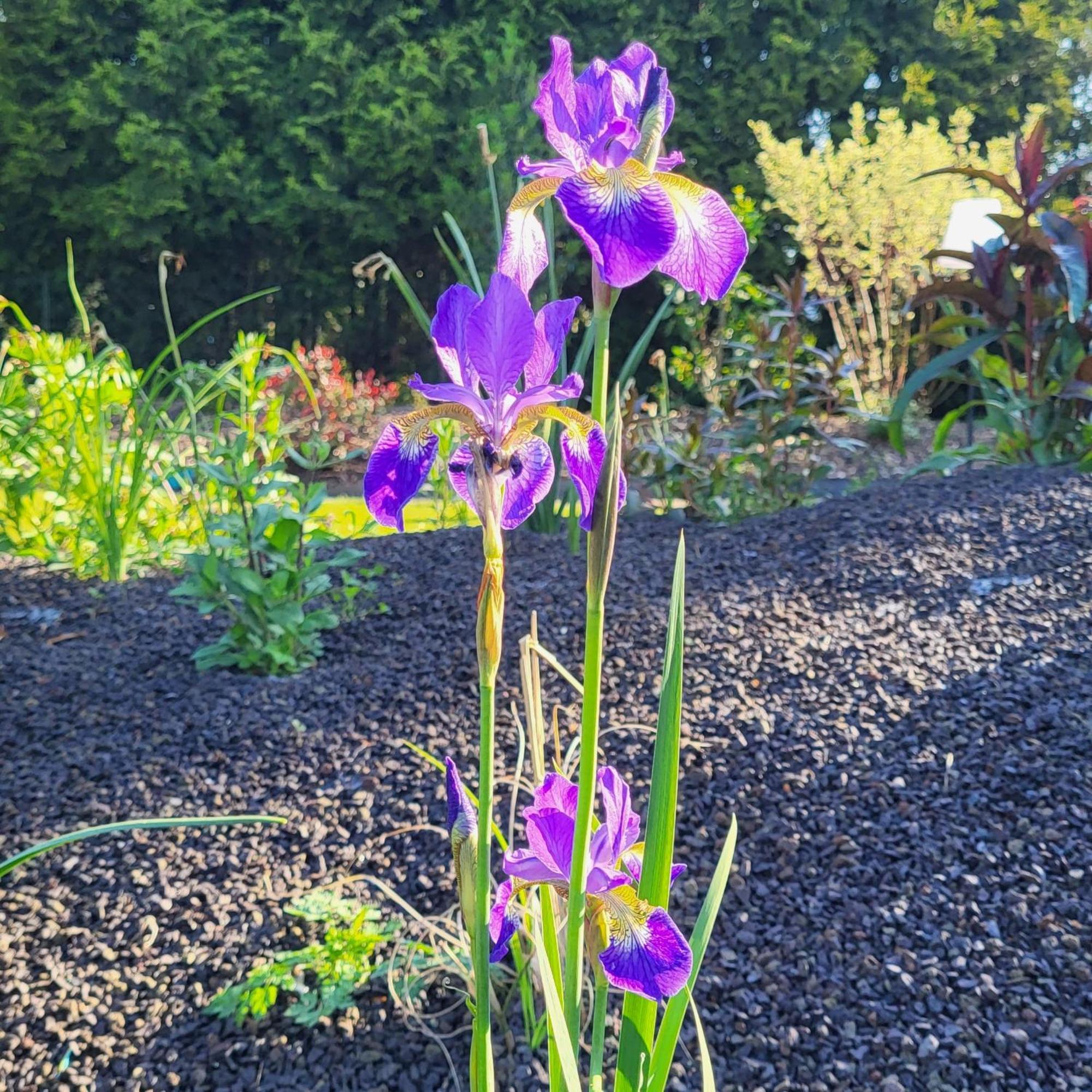 Komfort Ferienwohnungen Mit Wellness-Garten - Gaestehaus Am Bachlauf - Losheim Am See Habitación foto