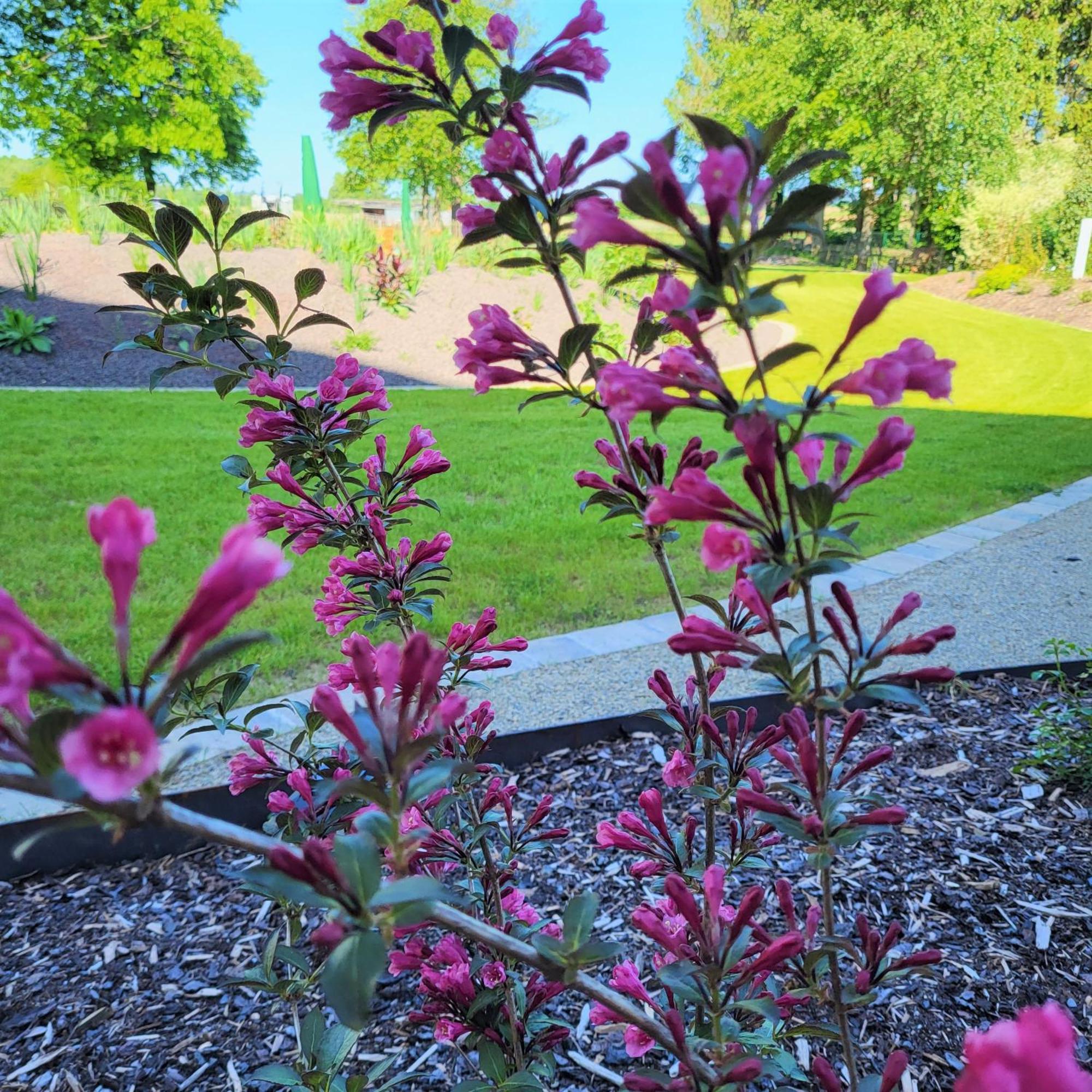 Komfort Ferienwohnungen Mit Wellness-Garten - Gaestehaus Am Bachlauf - Losheim Am See Habitación foto